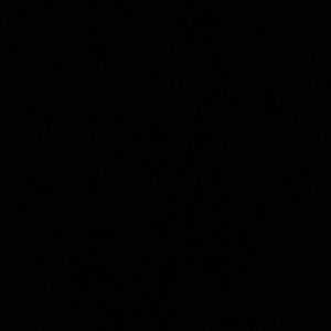 Meet your Posher, Ellen